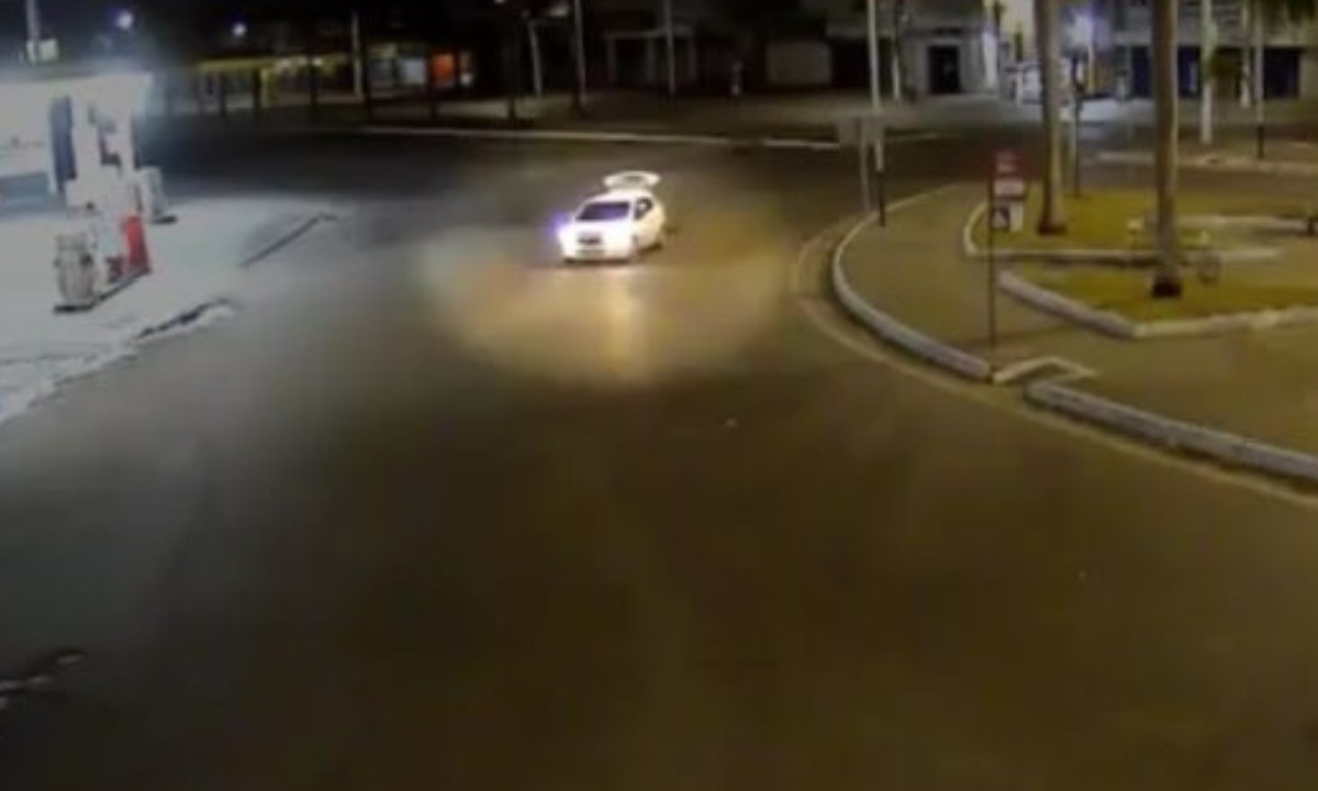 Prefeitura denuncia furto de palmeiras recém-plantadas em avenida de Feira de Santana