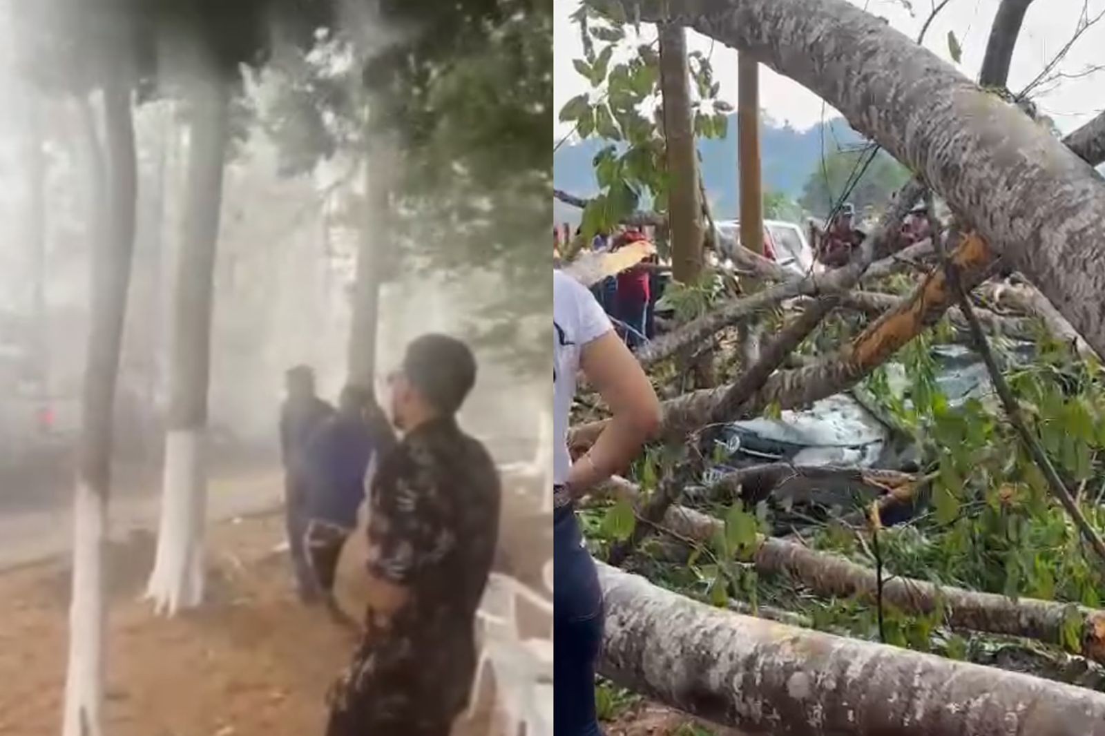 Forte ventania derruba árvores e deixa pessoas feridas em Ministro Andreazza, RO